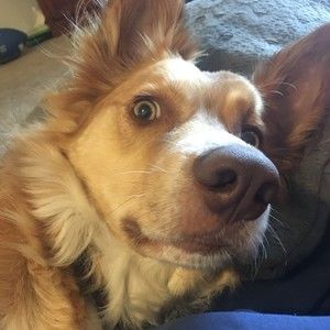 Meet your Posher, Kari